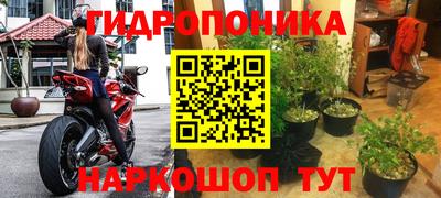 индика Бузулук
