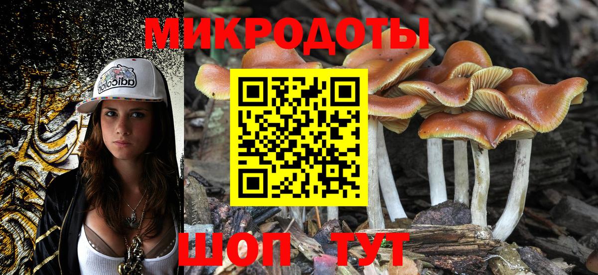 купить закладку  Вход с VPN  Новодвинск  Галлюциногенные грибы ЛСД 